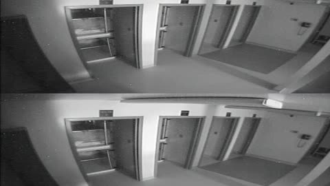 1704CRIB01CribAnalysisArea_2021-01-05_02h40min01s617ms.mp4