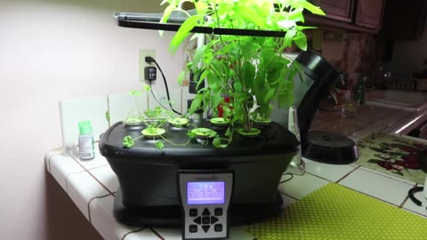 Aerogarden review.