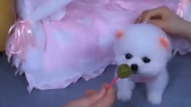 Cute baby Dog 🐶 Doing Cute things