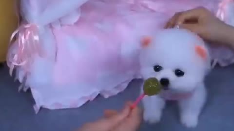 Cute baby Dog 🐶 Doing Cute things