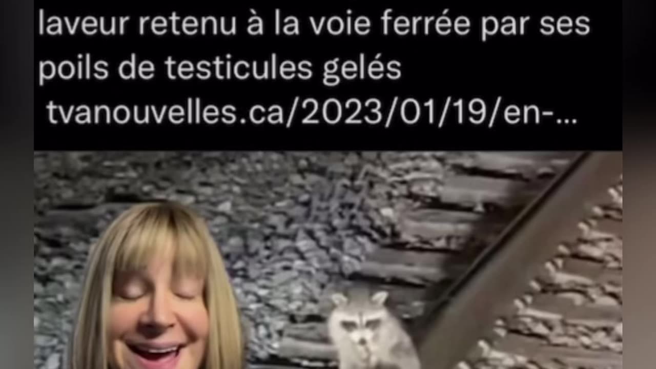 TVA nouvelles vous prend pour un idiot