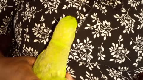 Pet parrot