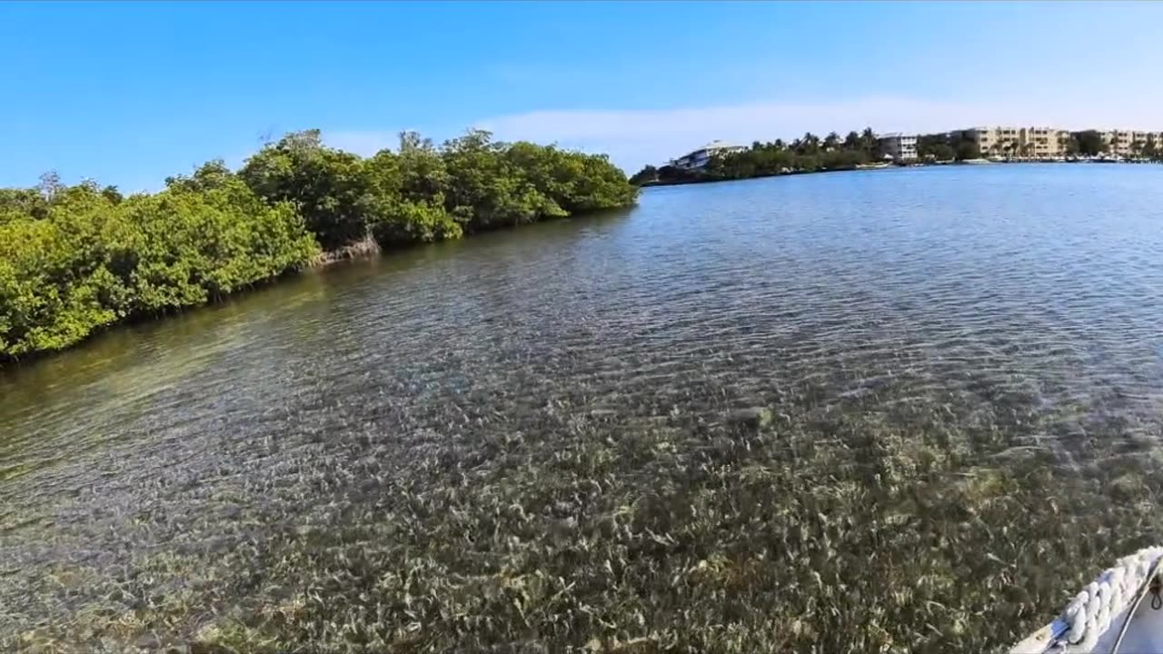 Honey comb hide out !