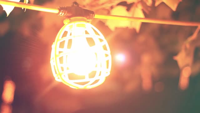 To bring light and warmth to the world like a light bulb.