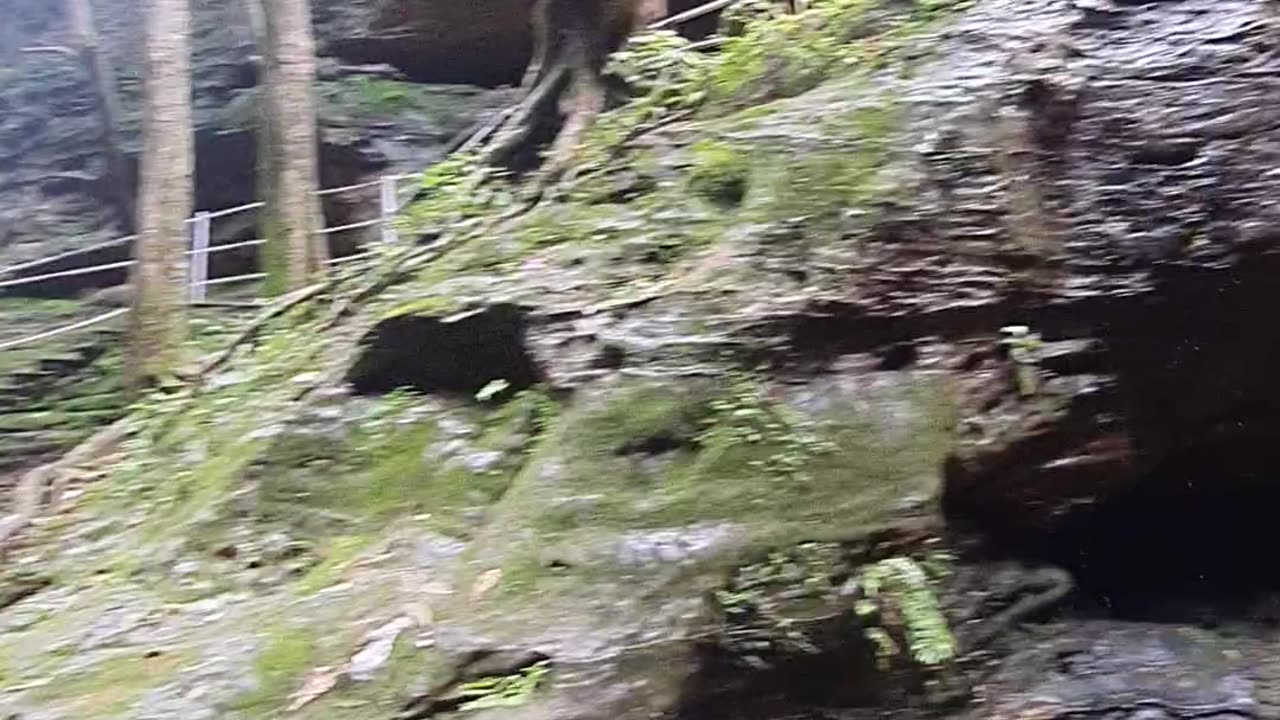 Waterfall