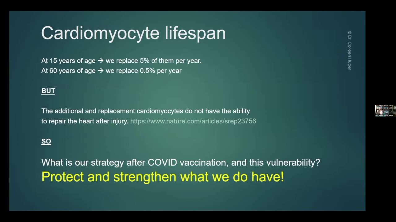 2-Cardiomyocyte lifespan