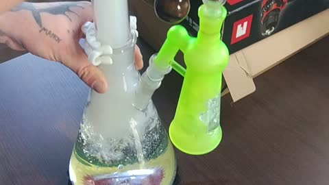 🌴Champion Bubbler🌴