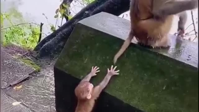 smart kid