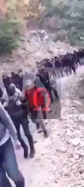 Ορεινά Θράκης