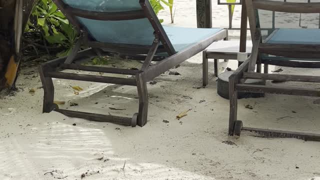 Maldives