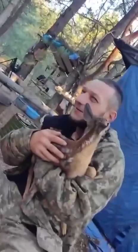Ukrainians Rescue Baby Deer