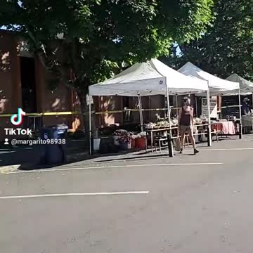 3D-7D Life Mental Coach Red Pill