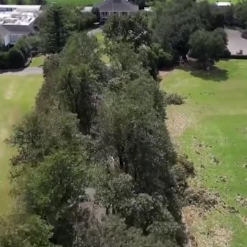 Drone shows damage to Augusta National's Magnolia Lane