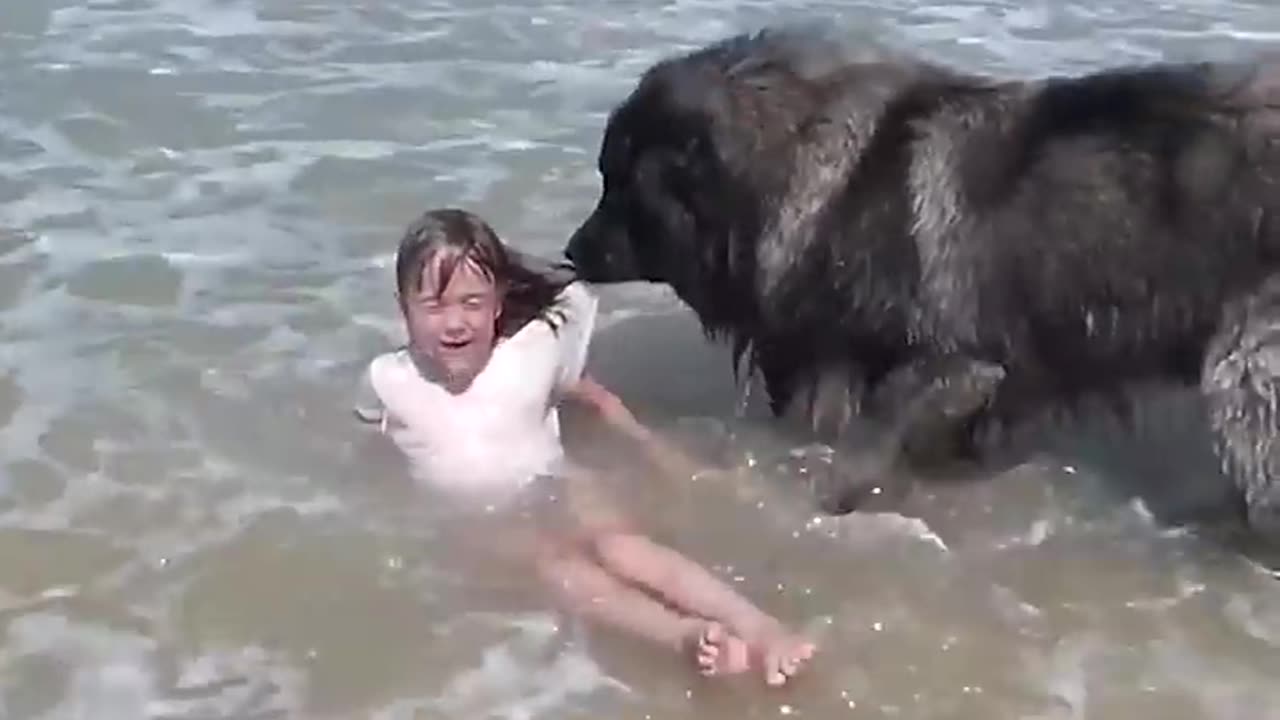 MAZING Dog Rescues Little Girl From Ocean!