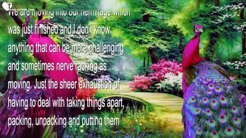 My Formula for a quick Healing of the I-Disease Pride ❤️ Love Letter from Jesus