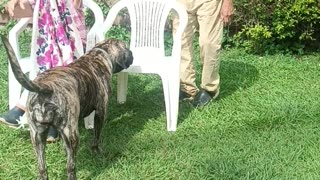That's the Dog Place
