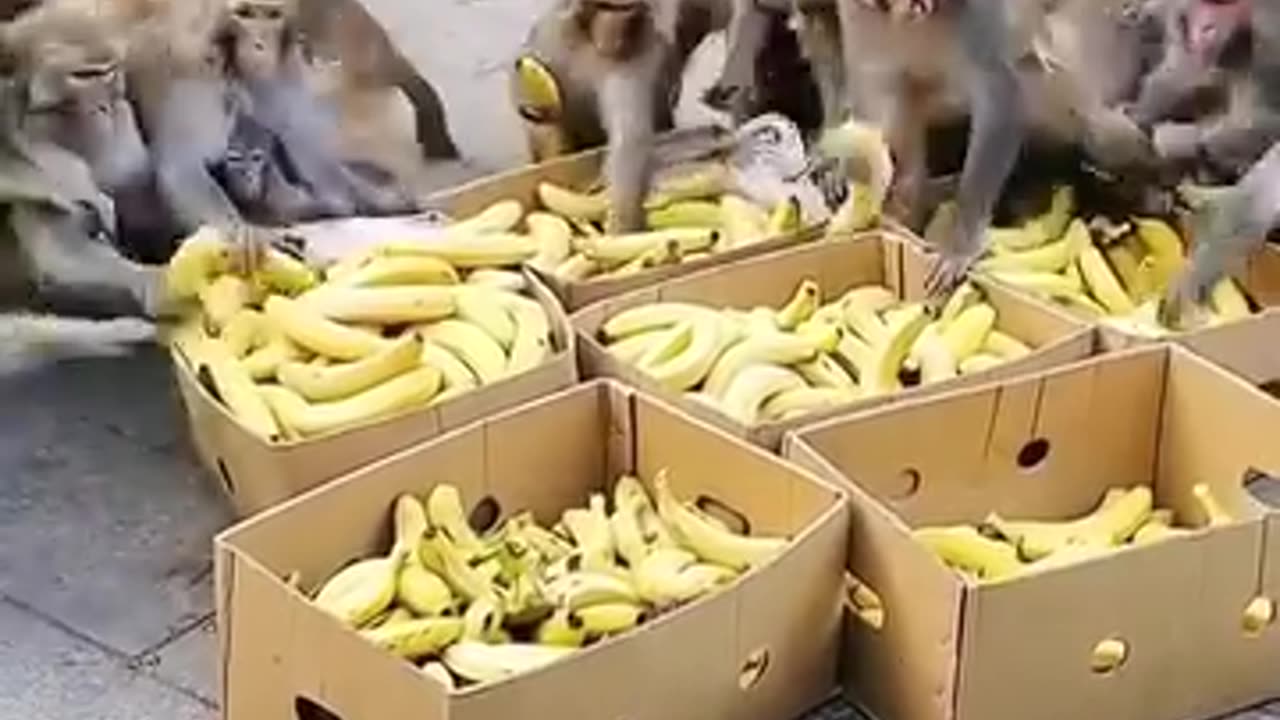 Banana market