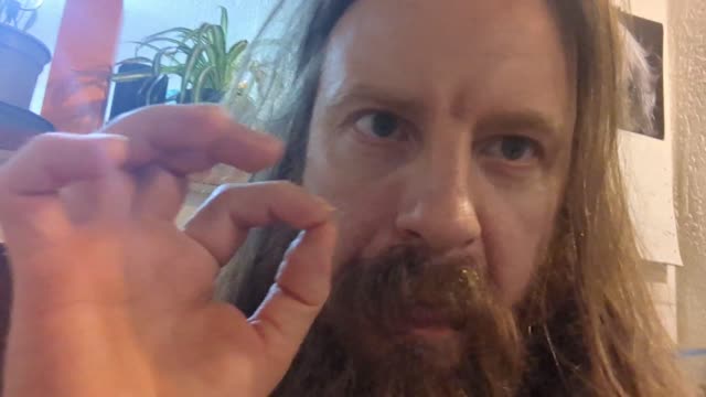 2022-10-09 (2) - Dégustation . gésier d'oie confite sur son lit de poivre au riz - Twitch Triskelina