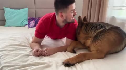 Pretending to Bite My German Shepherd by the Ear