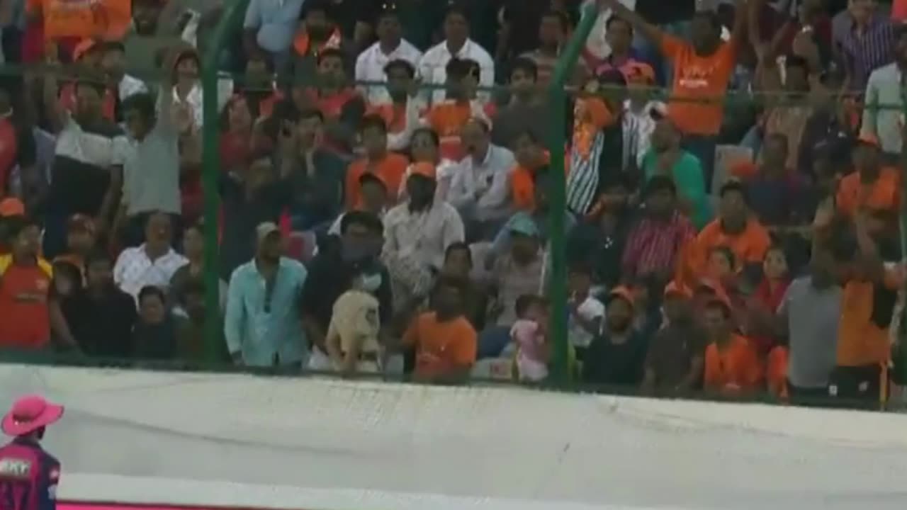 M04 SRH vs RR Match Highlights 720K
