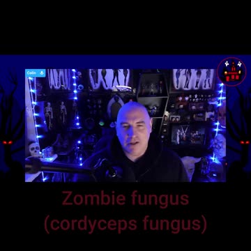 Nature inspires horror