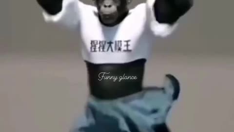 Chimpanzee dancing