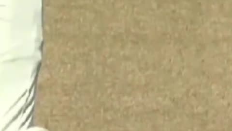 Cricket short video
