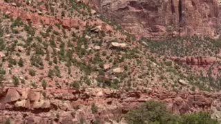 Zion National Park just amazing!