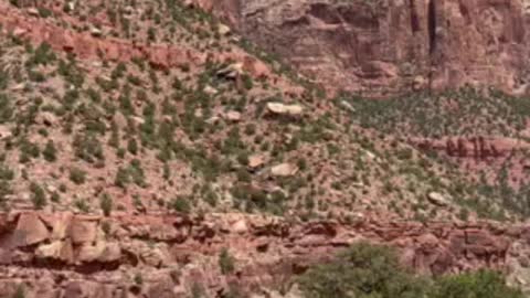 Zion National Park just amazing!