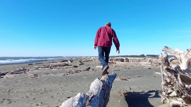 Young or Old have Fun at Ocean Shores at the Beach