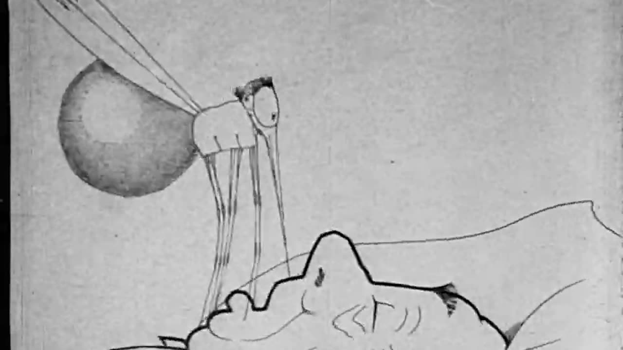 How A Mosquito Operates (1912 Film) -- Directed By Windsor McKay -- Full Movie