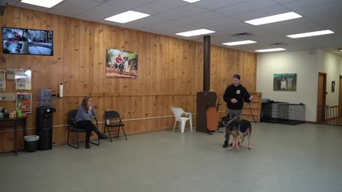 Learn how to train your Dog in fun way As they are trained in Dog Training Academy