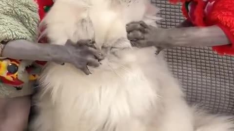 WithahelmetI'mnotafraidanymore.