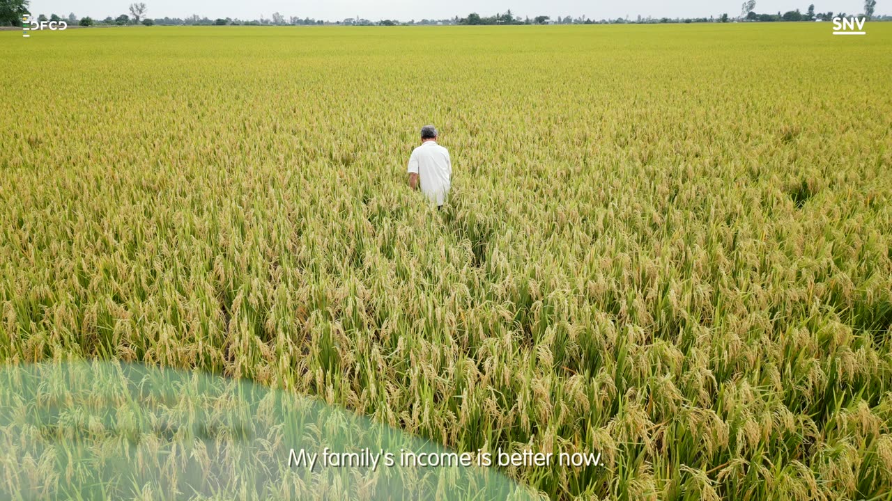 DFCD -- Vinaseed