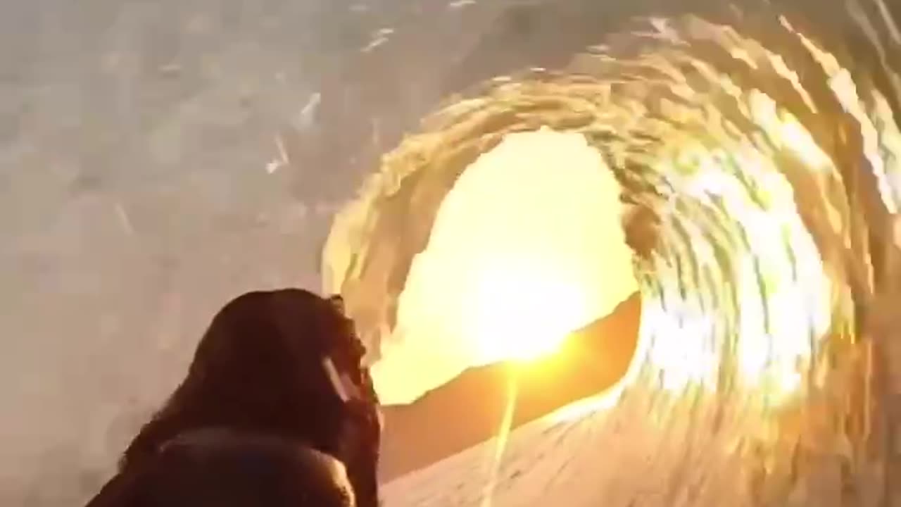 Catch the wave