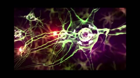 DendriteHippocampus Brain,Human Brain Immune || briain massage while you sleep improve your memory