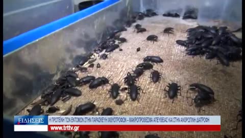 Μπάρες με πρωτεΐνη εντόμων και σνακ…ακρίδας στην ελληνική TV!! «Έχουν ΕΓΚΡΙΘΕΙ» λένε