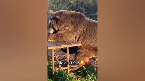 Funny video 😂😂