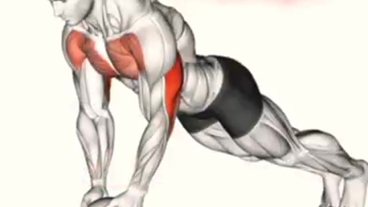 Ball pushups exercise at home for inner chest and triceps workout