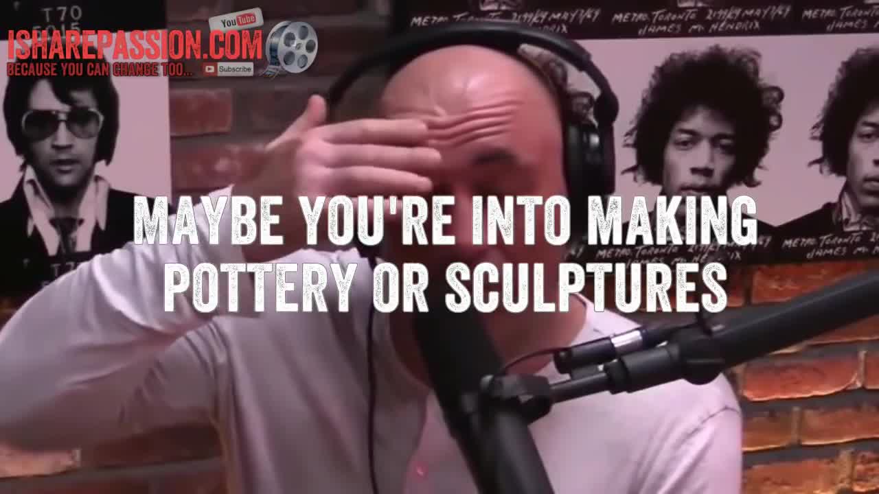 Joe Rogan on Success