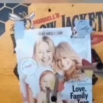 Black Supremacist Declares "Open Season" On White People