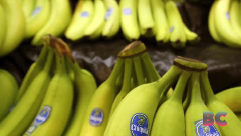 Chiquita found liable for financing paramilitary group