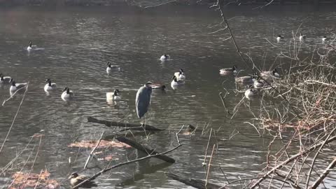 Clove Lakes Park - 12.15.2021