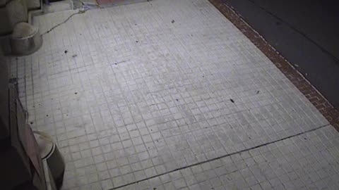 3203LHOBBACStLoadingDockExteriork_2021-01-05_22h20min01s403ms.mp4