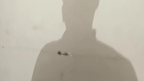 Baba Bhola