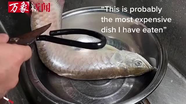 Man's pet arowana dies,he steams & eats it