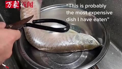 Man's pet arowana dies,he steams & eats it