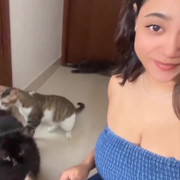 Pets Itne He Palo Ki 4 Log Puche Ghar Hai Ya Joo 🤭