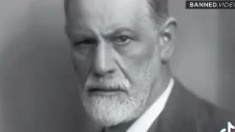 From pedophile Sigmund Freud to Pedophile Netflix!All Related!