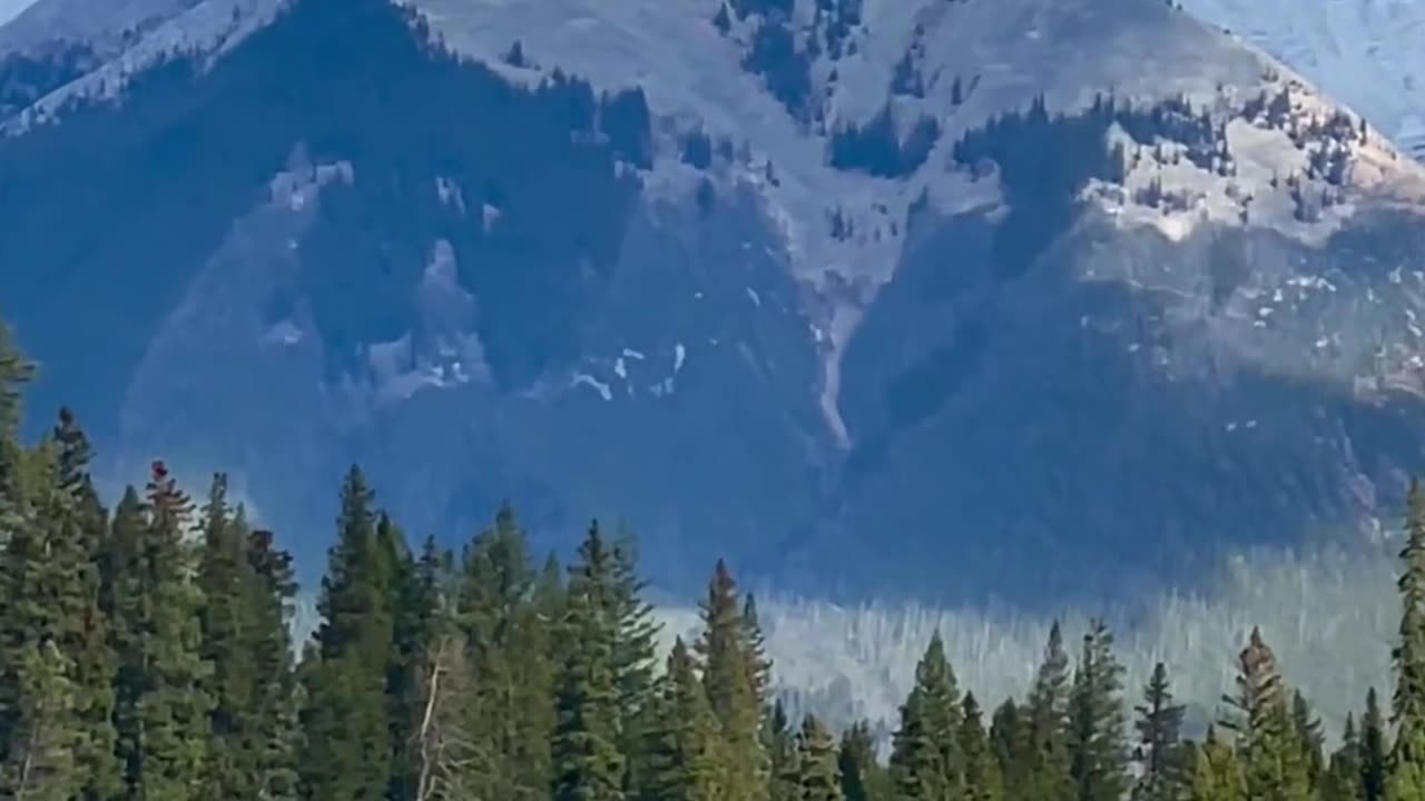 A mountaion view with forest and river view